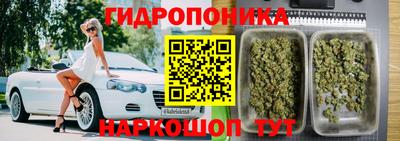 прущий лед Кингисепп