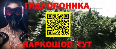 прущий лед Кингисепп