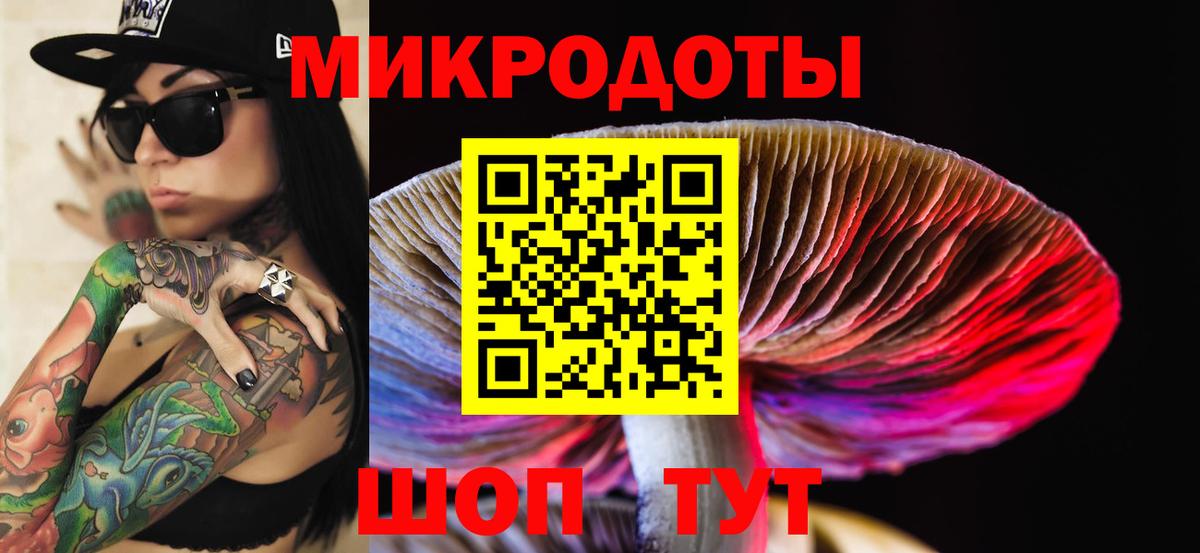 Азов  купить закладку  Псилоцибиновые грибы Cubensis  Вход с VPN  Псилоцибиновые грибы прущие грибы 
